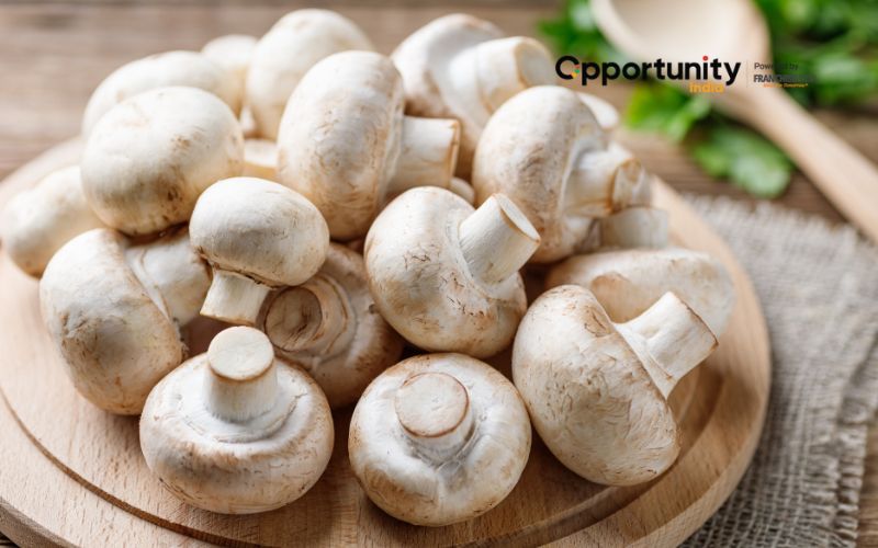 How to Start a Button Mushroom Farming Business?